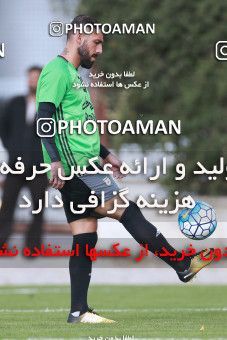 921927, Tehran, , Iran National Football Team Training Session on 2017/11/02 at Research Institute of Petroleum Industry