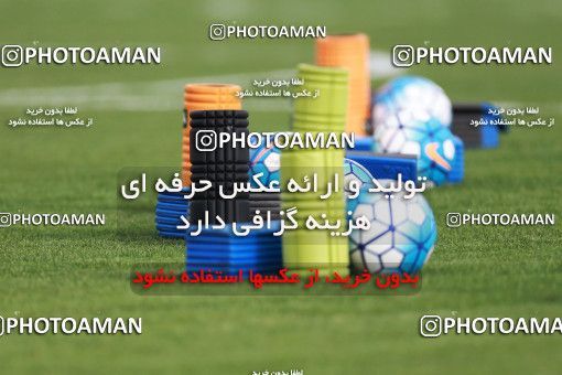 921827, Tehran, , Iran National Football Team Training Session on 2017/11/02 at Research Institute of Petroleum Industry