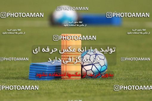 921981, Tehran, , Iran National Football Team Training Session on 2017/11/02 at Research Institute of Petroleum Industry