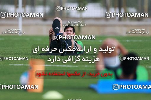 921930, Tehran, , Iran National Football Team Training Session on 2017/11/02 at Research Institute of Petroleum Industry