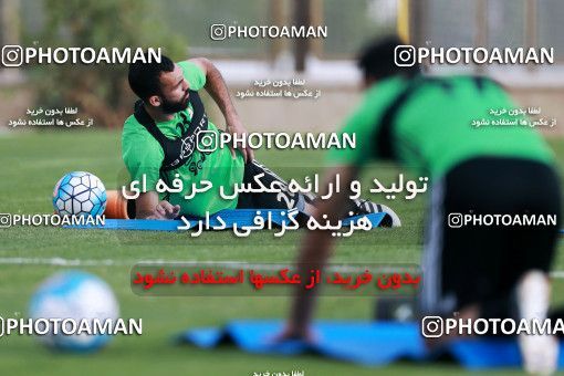 921976, Tehran, , Iran National Football Team Training Session on 2017/11/02 at Research Institute of Petroleum Industry