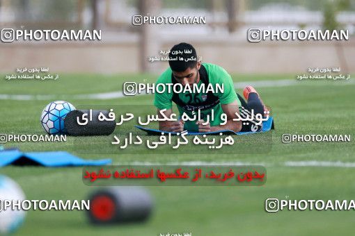 921918, Tehran, , Iran National Football Team Training Session on 2017/11/02 at Research Institute of Petroleum Industry