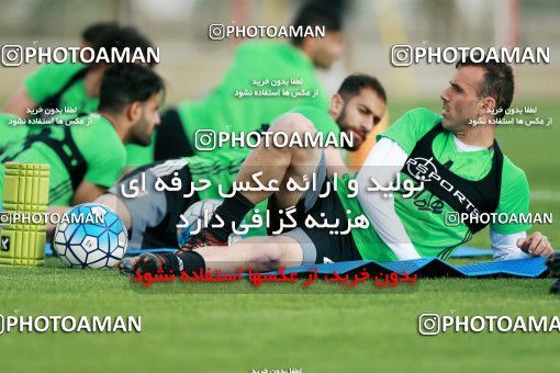 921702, Tehran, , Iran National Football Team Training Session on 2017/11/02 at Research Institute of Petroleum Industry