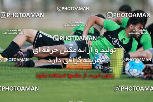 921838, Tehran, , Iran National Football Team Training Session on 2017/11/02 at Research Institute of Petroleum Industry
