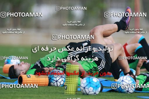 922092, Tehran, , Iran National Football Team Training Session on 2017/11/02 at Research Institute of Petroleum Industry