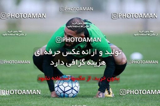 922039, Tehran, , Iran National Football Team Training Session on 2017/11/02 at Research Institute of Petroleum Industry