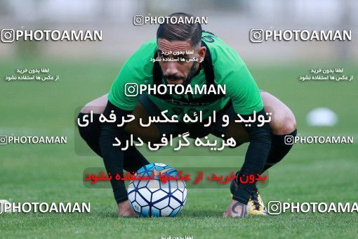 921815, Tehran, , Iran National Football Team Training Session on 2017/11/02 at Research Institute of Petroleum Industry