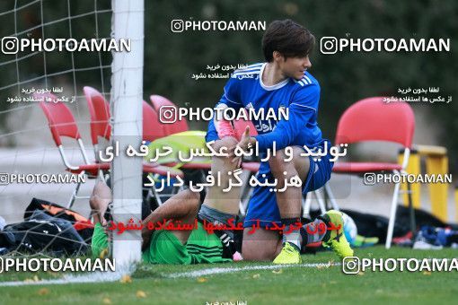 921978, Tehran, , Iran National Football Team Training Session on 2017/11/02 at Research Institute of Petroleum Industry