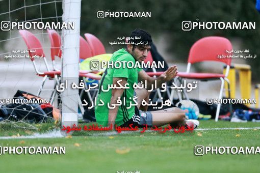 922078, Tehran, , Iran National Football Team Training Session on 2017/11/02 at Research Institute of Petroleum Industry