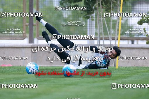 922097, Tehran, , Iran National Football Team Training Session on 2017/11/02 at Research Institute of Petroleum Industry