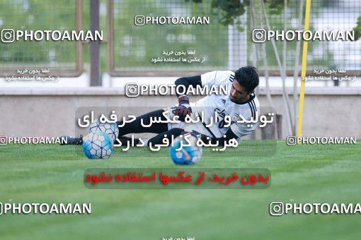 922177, Tehran, , Iran National Football Team Training Session on 2017/11/02 at Research Institute of Petroleum Industry