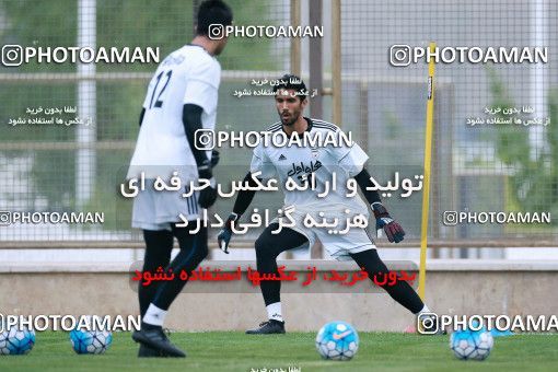 921948, Tehran, , Iran National Football Team Training Session on 2017/11/02 at Research Institute of Petroleum Industry
