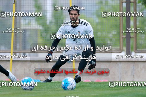 921860, Tehran, , Iran National Football Team Training Session on 2017/11/02 at Research Institute of Petroleum Industry