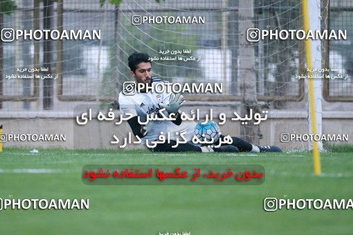 921908, Tehran, , Iran National Football Team Training Session on 2017/11/02 at Research Institute of Petroleum Industry
