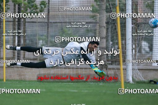 921881, Tehran, , Iran National Football Team Training Session on 2017/11/02 at Research Institute of Petroleum Industry
