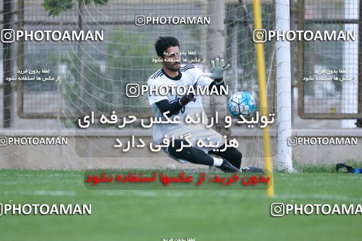 922067, Tehran, , Iran National Football Team Training Session on 2017/11/02 at Research Institute of Petroleum Industry