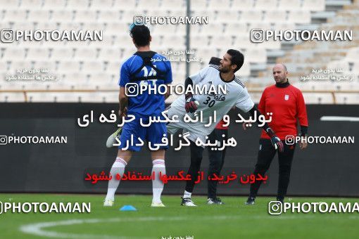 924794, Tehran, , Iran National Football Team Training Session on 2017/11/04 at Azadi Stadium