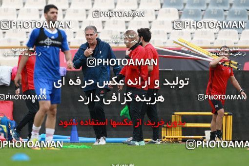 924623, Tehran, , Iran National Football Team Training Session on 2017/11/04 at Azadi Stadium
