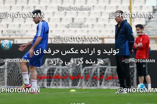 924782, Tehran, , Iran National Football Team Training Session on 2017/11/04 at Azadi Stadium