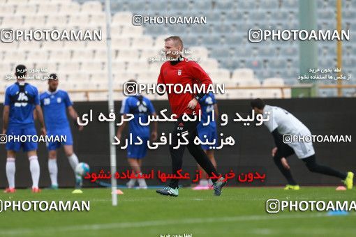 924575, Tehran, , Iran National Football Team Training Session on 2017/11/04 at Azadi Stadium