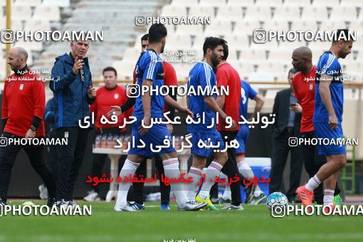 924589, Tehran, , Iran National Football Team Training Session on 2017/11/04 at Azadi Stadium