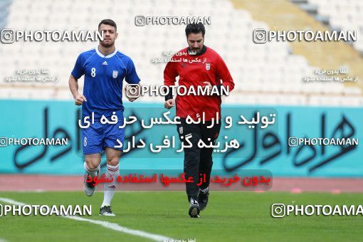 924653, Tehran, , Iran National Football Team Training Session on 2017/11/04 at Azadi Stadium