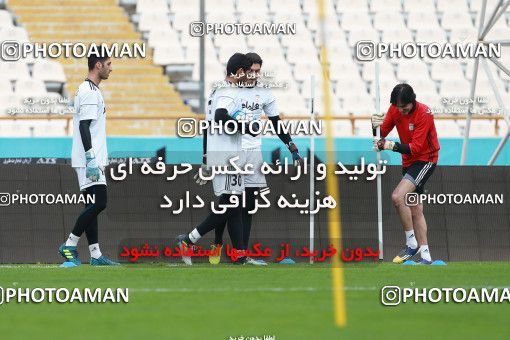 924679, Tehran, , Iran National Football Team Training Session on 2017/11/04 at Azadi Stadium