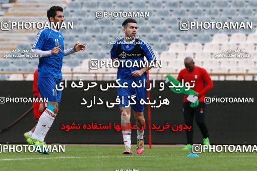 924657, Tehran, , Iran National Football Team Training Session on 2017/11/04 at Azadi Stadium