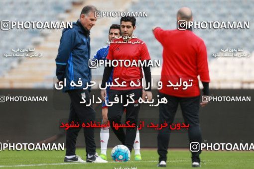 926753, Tehran, , Iran National Football Team Training Session on 2017/11/04 at Azadi Stadium