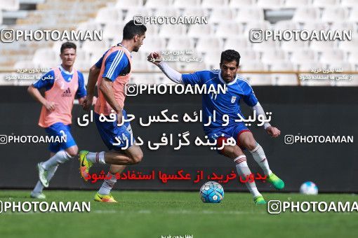 926652, Tehran, , Iran National Football Team Training Session on 2017/11/04 at Azadi Stadium
