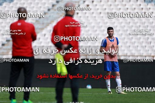926577, Tehran, , Iran National Football Team Training Session on 2017/11/04 at Azadi Stadium