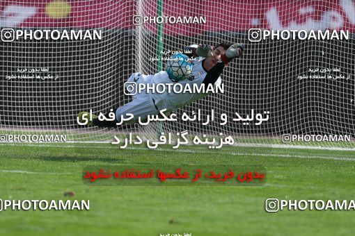 926768, Tehran, , Iran National Football Team Training Session on 2017/11/04 at Azadi Stadium