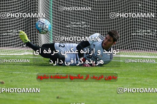 926509, Tehran, , Iran National Football Team Training Session on 2017/11/04 at Azadi Stadium