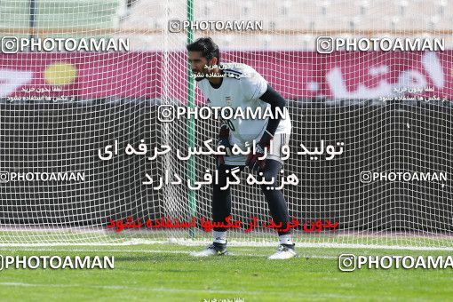 926654, Tehran, , Iran National Football Team Training Session on 2017/11/04 at Azadi Stadium