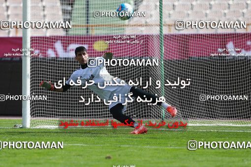 926741, Tehran, , Iran National Football Team Training Session on 2017/11/04 at Azadi Stadium