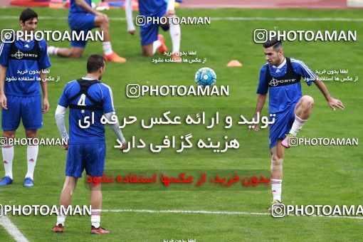 929064, Tehran, , Iran National Football Team Training Session on 2017/11/04 at Azadi Stadium