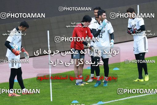 928735, Tehran, , Iran National Football Team Training Session on 2017/11/04 at Azadi Stadium