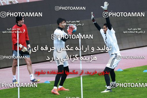 929174, Tehran, , Iran National Football Team Training Session on 2017/11/04 at Azadi Stadium