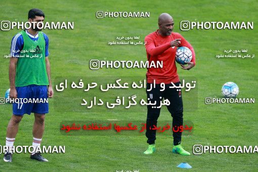 928948, Tehran, , Iran National Football Team Training Session on 2017/11/04 at Azadi Stadium