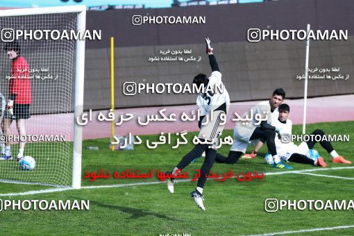 928841, Tehran, , Iran National Football Team Training Session on 2017/11/04 at Azadi Stadium