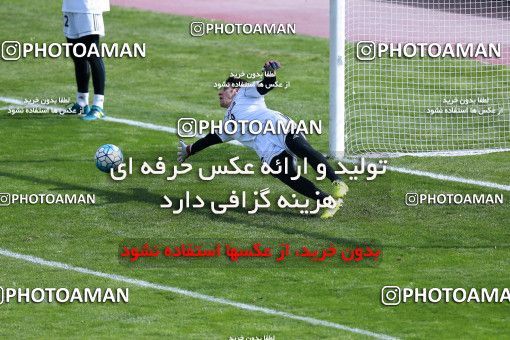 929164, Tehran, , Iran National Football Team Training Session on 2017/11/04 at Azadi Stadium