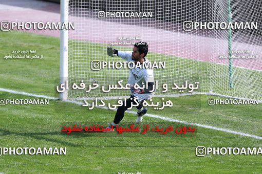 929170, Tehran, , Iran National Football Team Training Session on 2017/11/04 at Azadi Stadium