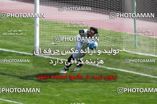 928779, Tehran, , Iran National Football Team Training Session on 2017/11/04 at Azadi Stadium