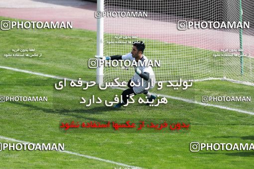 929083, Tehran, , Iran National Football Team Training Session on 2017/11/04 at Azadi Stadium