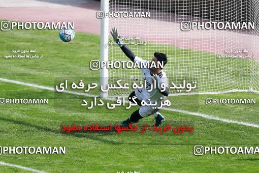 928702, Tehran, , Iran National Football Team Training Session on 2017/11/04 at Azadi Stadium