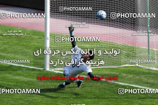 929124, Tehran, , Iran National Football Team Training Session on 2017/11/04 at Azadi Stadium