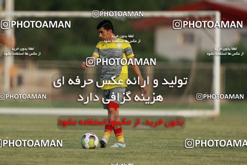 924277, Ahvaz, , Foulad Khouzestan Football Team Training Session on 2017/11/05 at Foolad Arena
