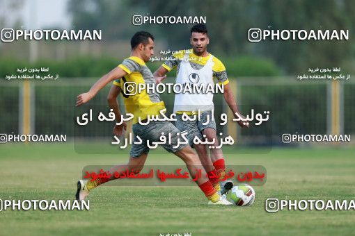 924263, Ahvaz, , Foulad Khouzestan Football Team Training Session on 2017/11/05 at Foolad Arena