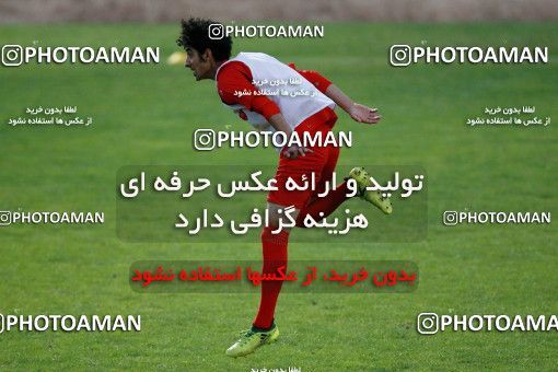929194, Tehran, , Persepolis Football Team Training Session on 2017/11/10 at Shahid Kazemi Stadium