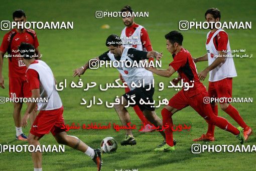 929353, Tehran, , Persepolis Football Team Training Session on 2017/11/10 at Shahid Kazemi Stadium